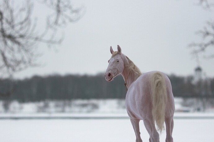 472501283_18074248756641606_6710593683064183774_n