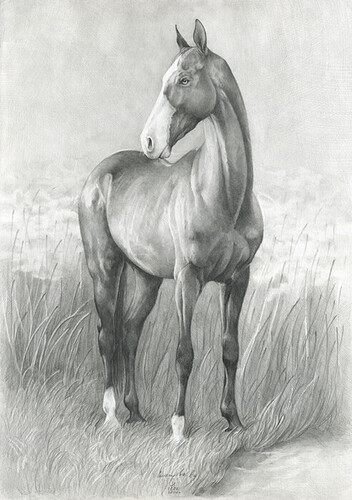 akhal_teke_by_littlemonster8_d8e51z5