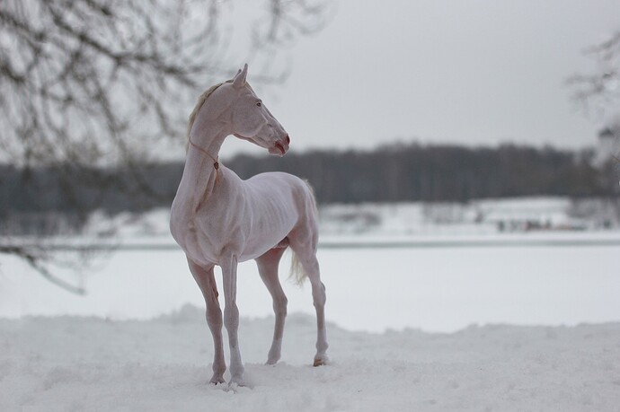 473082703_18074357452641606_3692835729447039893_n