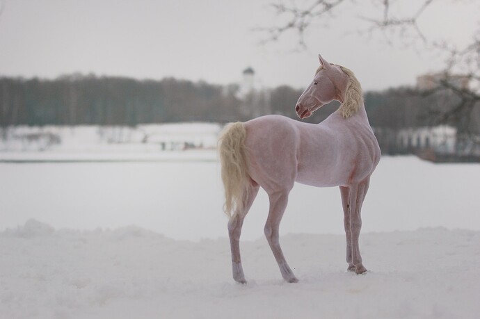 472721664_18074357479641606_2014527795777166755_n