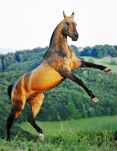 tumblr_mqk9z9GNwE1snp8tko1_500