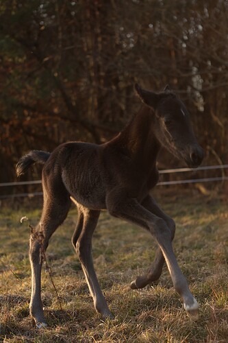 481297979_9267842050003110_2039584993453214063_n