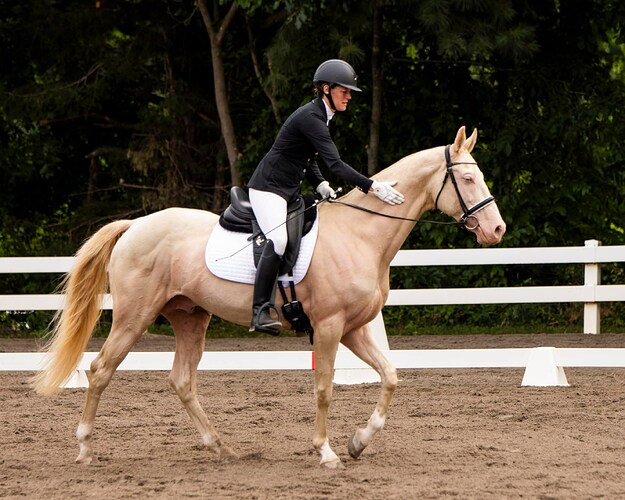 455820545_3145640758924018_3826600453175318639_n