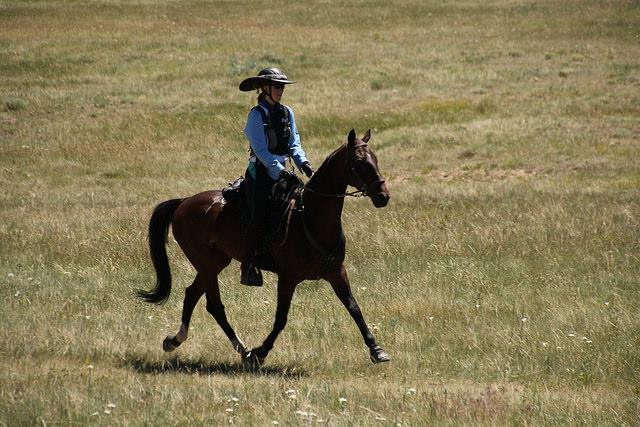 Endurance Ride on MV Patrickhan
