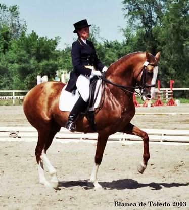 FB_IMG_1735429730984