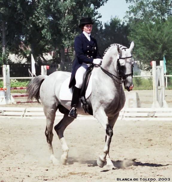 FB_IMG_1735429595086