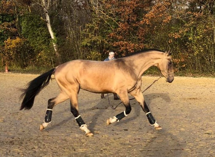 462116754_10234677866718029_8011337392916042710_n