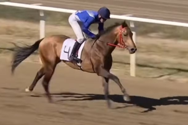 VS--YouTube-TheFastestAkhalTekehorsesthemostbeautifulracehorsesintheworld-16’32”
